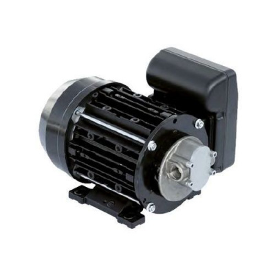 Насос для топлива "Garda 5" 220В (10 л/мин)